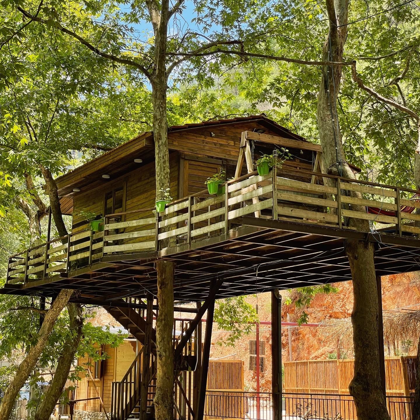 The treehouse