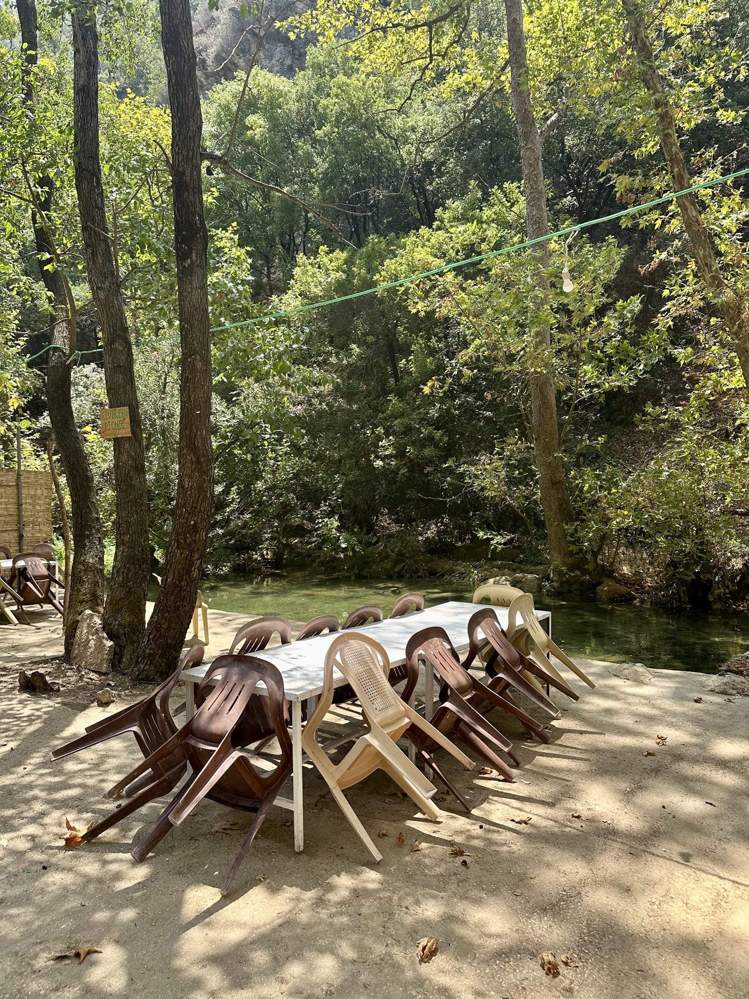 Picnic 4