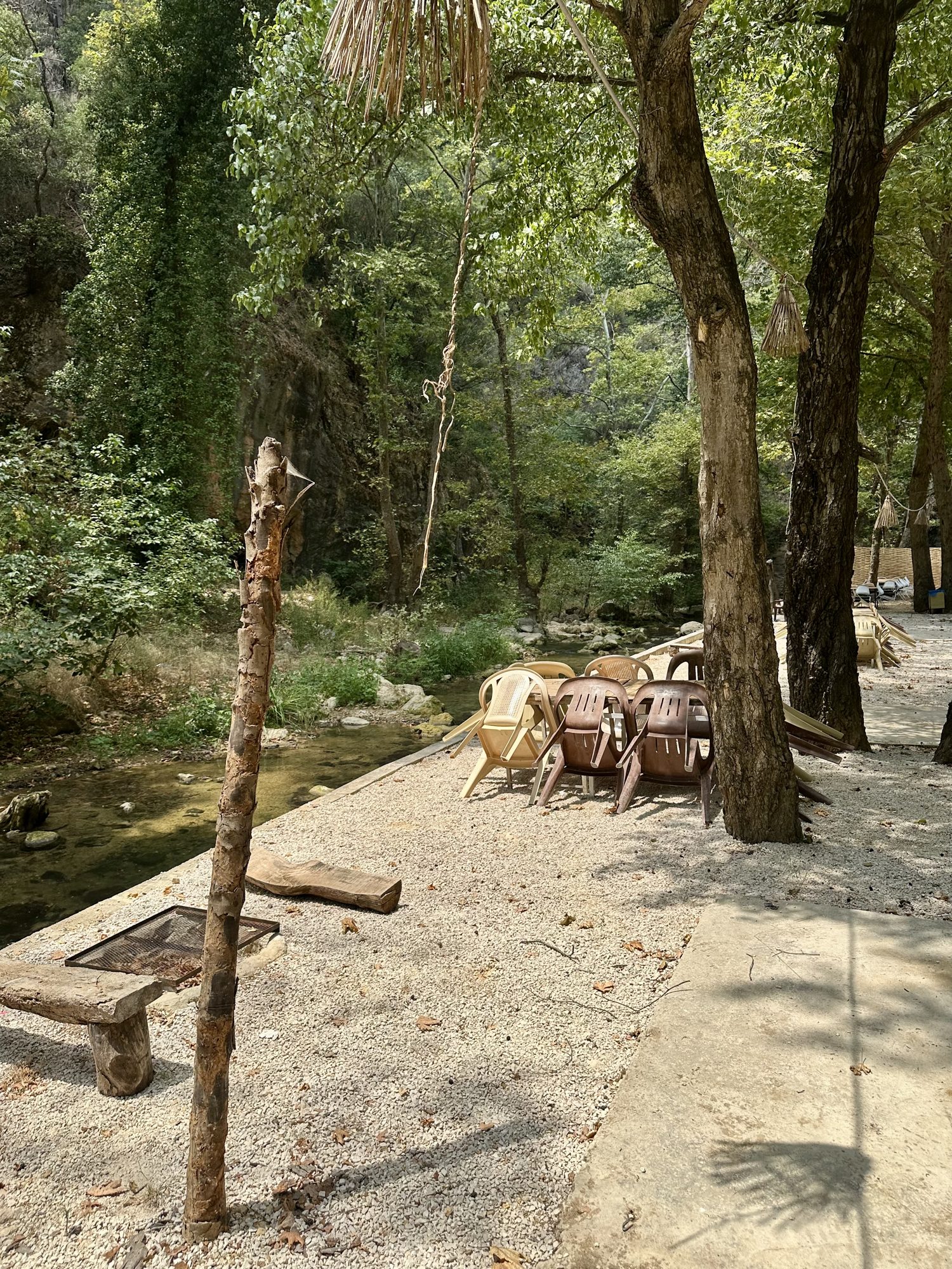 Picnic 5