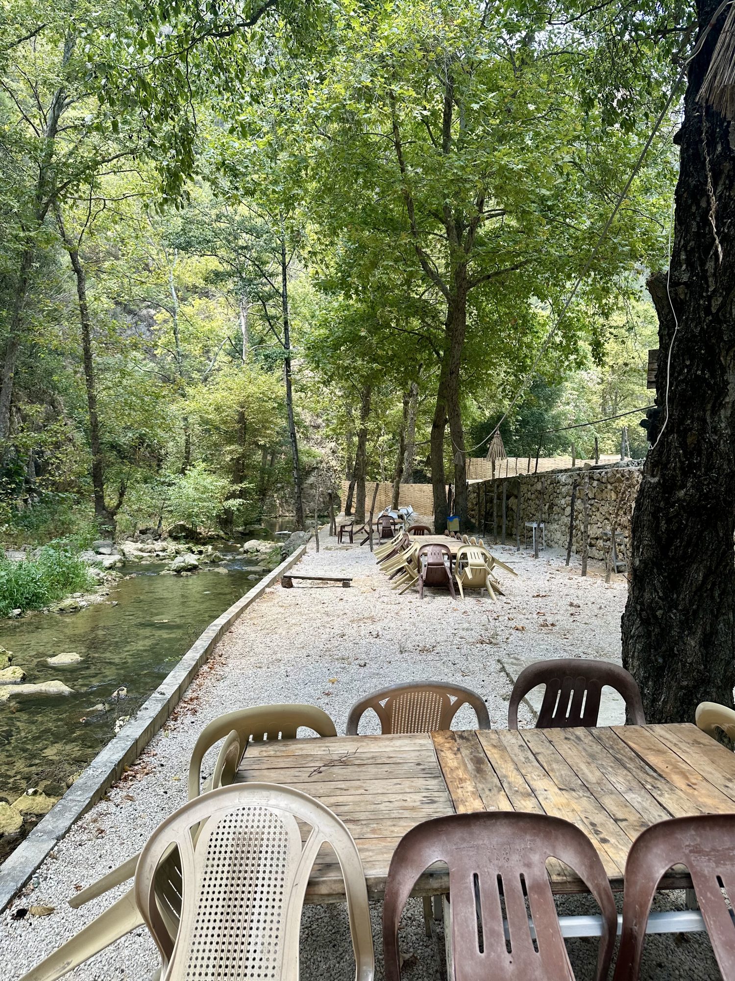 Picnic 1
