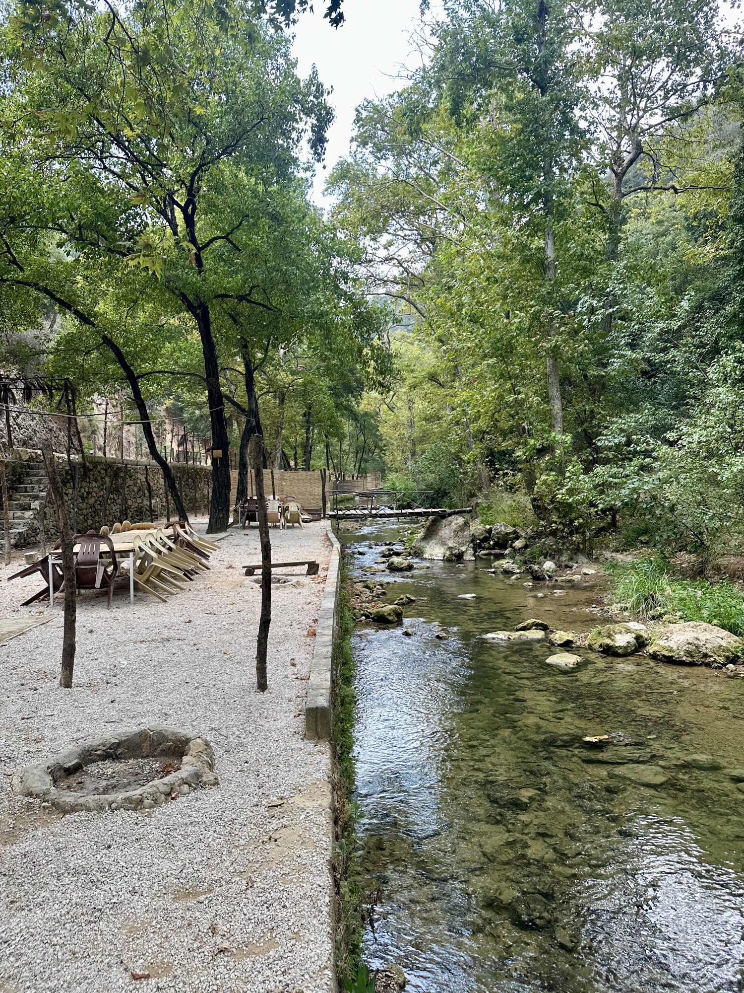 Picnic 8