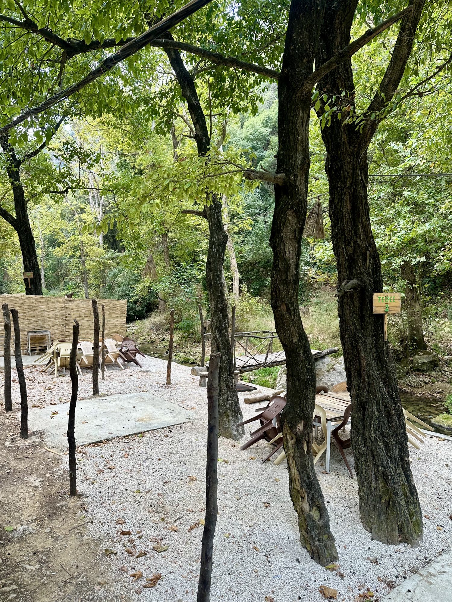 Picnic 9